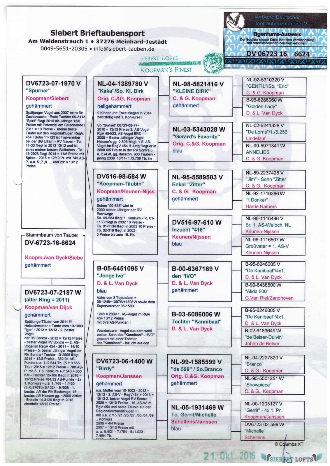 koopman-pedigree-dv-6723-16-6624-1789464366-x44j.jpg