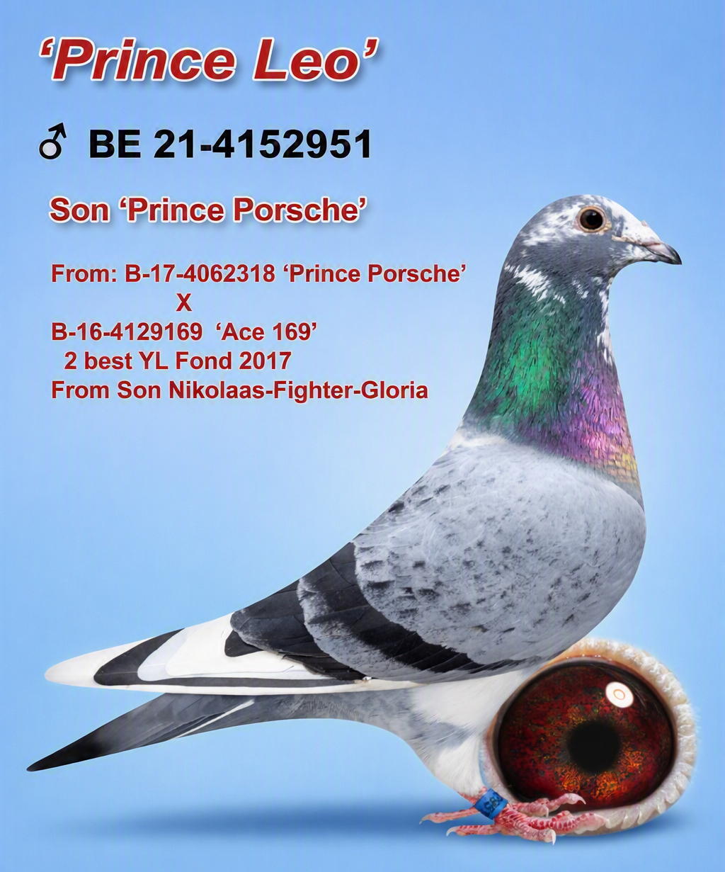 Father B-21-4152951 Yr 2021 - “Prince Porsche” Line