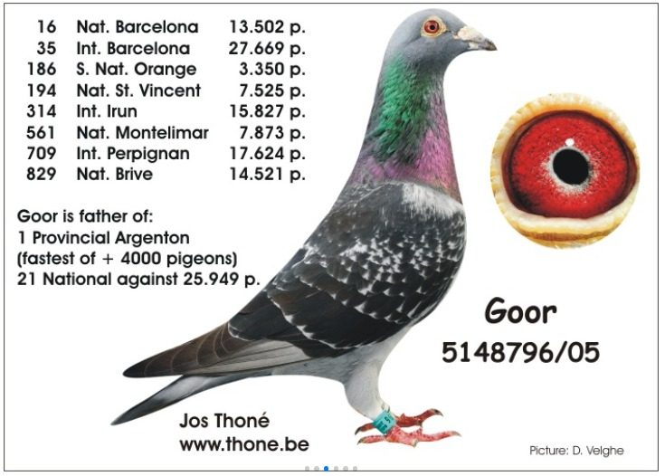 Mother B-12-5030122 Yr 2012 - Marceline - First Prov Argenton 2012  (10 Minutes Ahead)