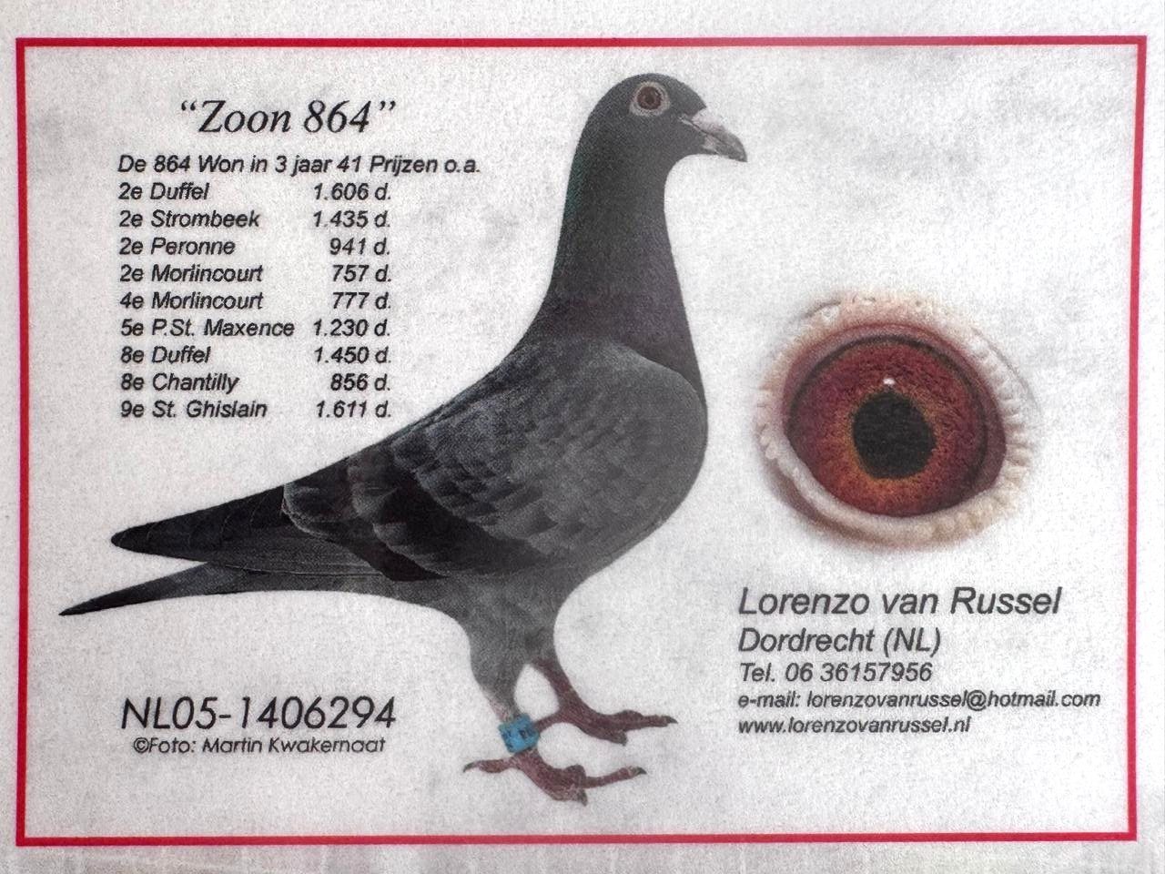 Father NL-13-1244327 Yr 2013 - Super Racer & Breeder - Duffel Race 1st out of 1473 Birds