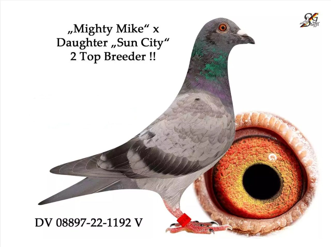 Mike Ganus